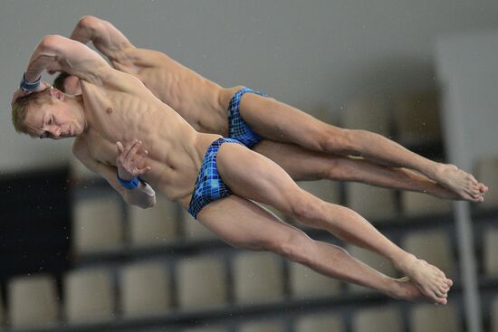 FINA/NVC Diving World Series 2014. Day One