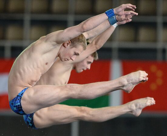 FINA/NVC Diving World Series 2014. Day One