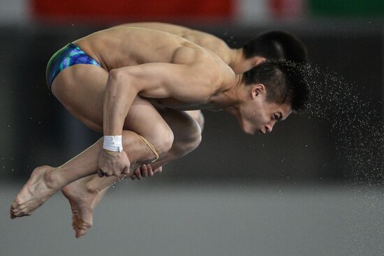 FINA/NVC Diving World Series 2014. Day One