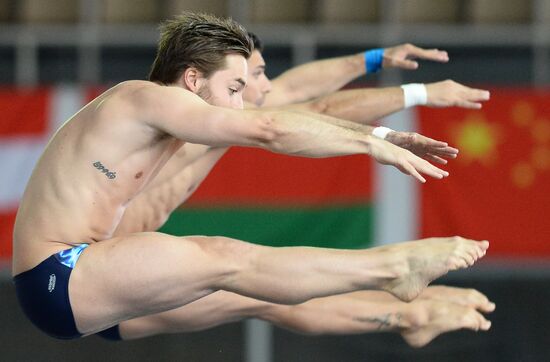 FINA/NVC Diving World Series 2014. Day One