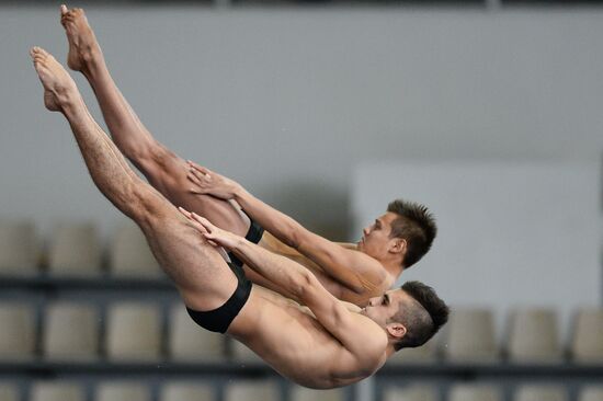 FINA/NVC Diving World Series 2014. Day One