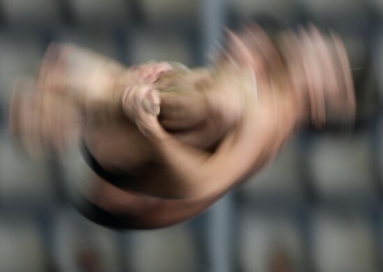 FINA/NVC Diving World Series 2014. Day One