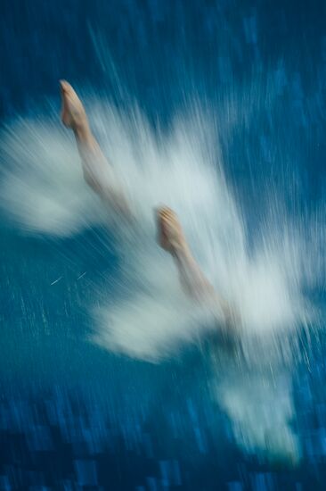 FINA/NVC Diving World Series 2014. Day One