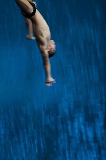 FINA/NVC Diving World Series 2014. Day One