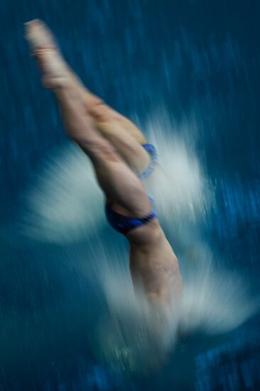 FINA/NVC Diving World Series 2014. Day One