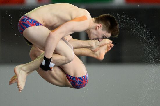 FINA/NVC Diving World Series 2014. Day One