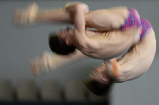 FINA/Midea Diving World Series 2013. Day One