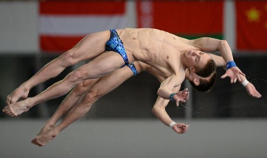 FINA/NVC Diving World Series 2014. Day One