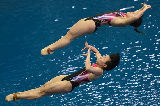 FINA/NVC Diving World Series 2014. Day One