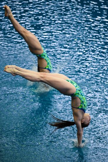 FINA/NVC Diving World Series 2014. Day One