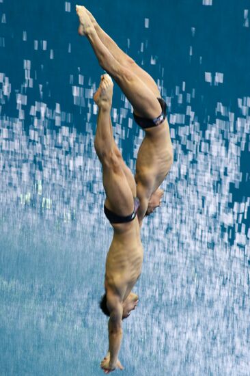 FINA/NVC Diving World Series 2014. Day One