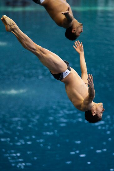 FINA/NVC Diving World Series 2014. Day One