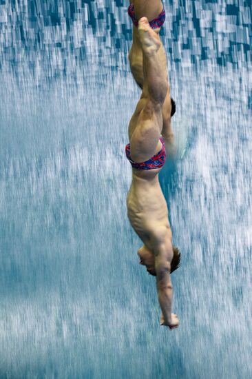 FINA/NVC Diving World Series 2014. Day One