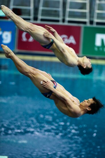 FINA/NVC Diving World Series 2014. Day One