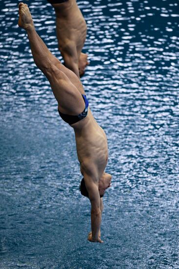 FINA/NVC Diving World Series 2014. Day One