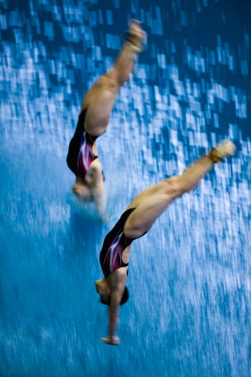 FINA/NVC Diving World Series 2014. Day One