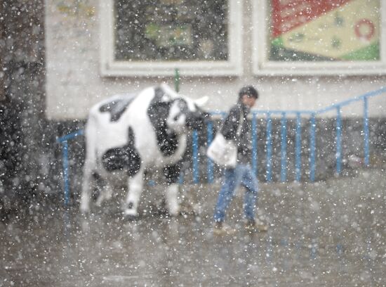 Wet snow in Moscow