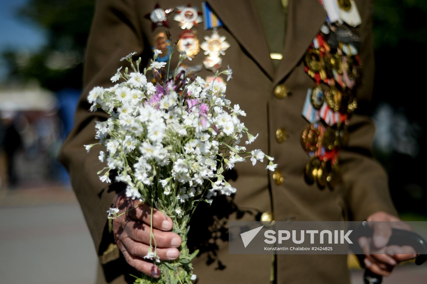 War veterans in Sevastopol