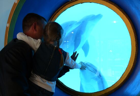Performance at Donetsk Dolphinarium