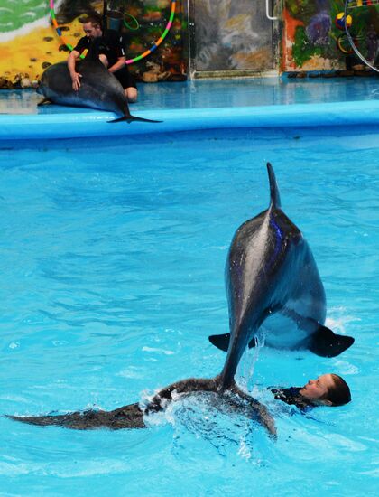Performance at Donetsk Dolphinarium