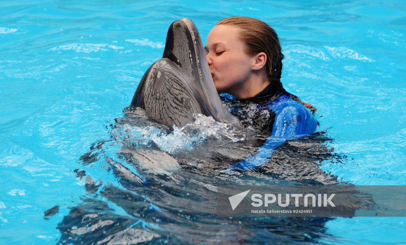 Performance at Donetsk Dolphinarium