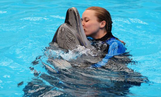 Performance at Donetsk Dolphinarium