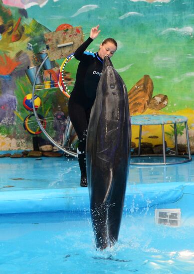 Performance at Donetsk Dolphinarium