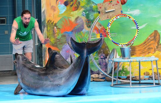 Performance at Donetsk Dolphinarium