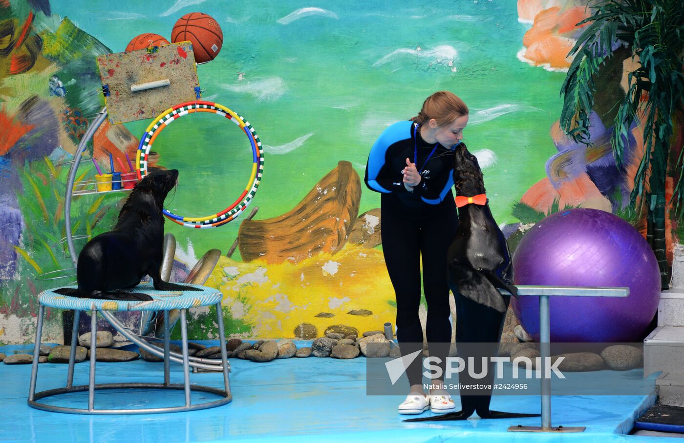 Performance at Donetsk Dolphinarium