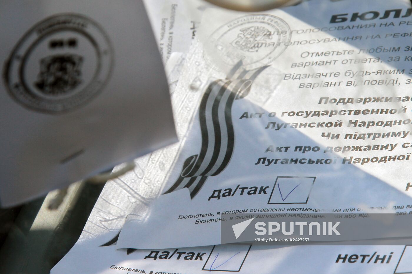 Donetsk and Lugansk regions hold referendum on self-determination