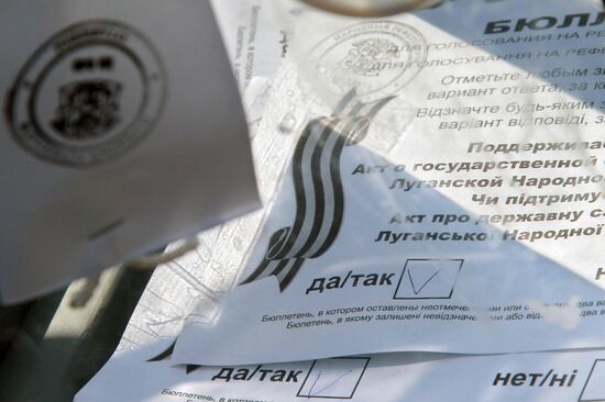 Donetsk and Lugansk regions hold referendum on self-determination