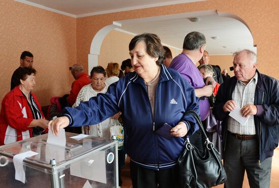 Donetsk and Lugansk regions hold referendum on self-determination