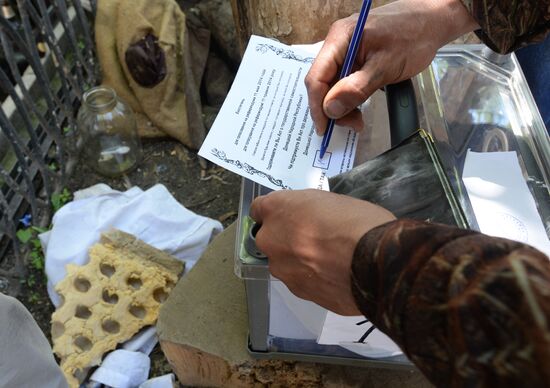 Donetsk and Lugansk regions hold referendum on self-determination