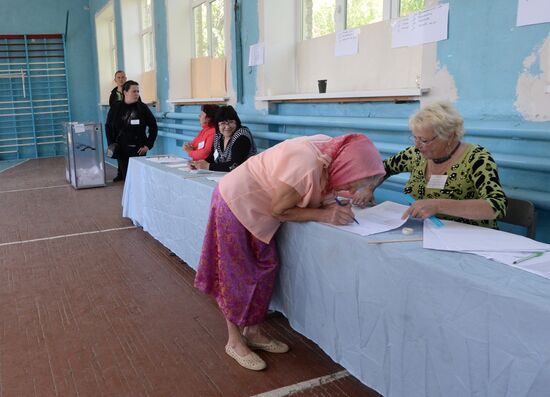 Donetsk and Lugansk regions hold referendum on self-determination