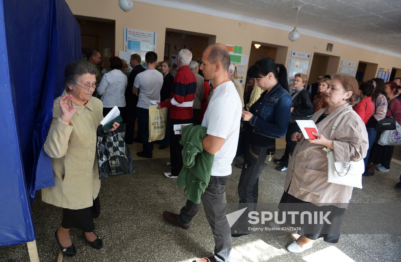 Donetsk and Lugansk regions hold referendum on self-determination