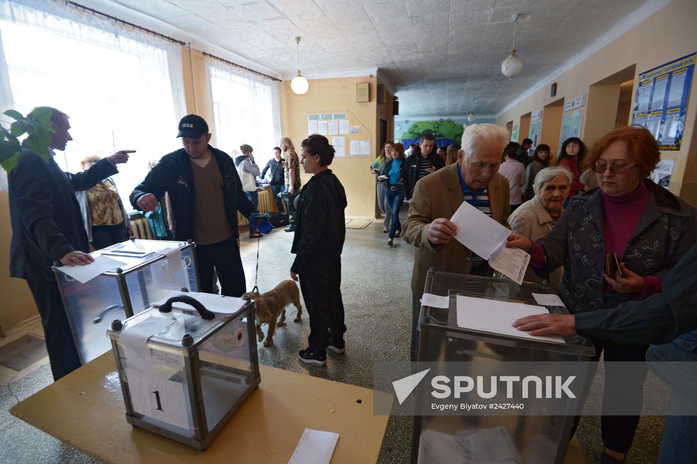 Donetsk and Lugansk regions hold referendum on self-determination