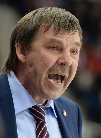 2014 IIHF Ice Hockey World Championship. Finland vs. Russia