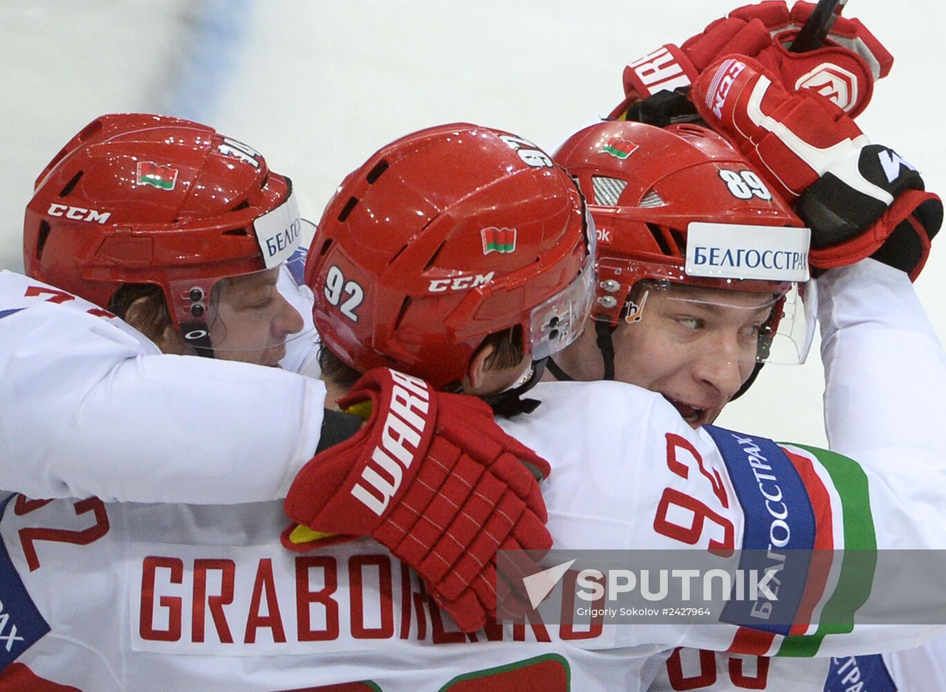 2014 Men's World Ice Hockey Championships. Switzerland vs. Belarus