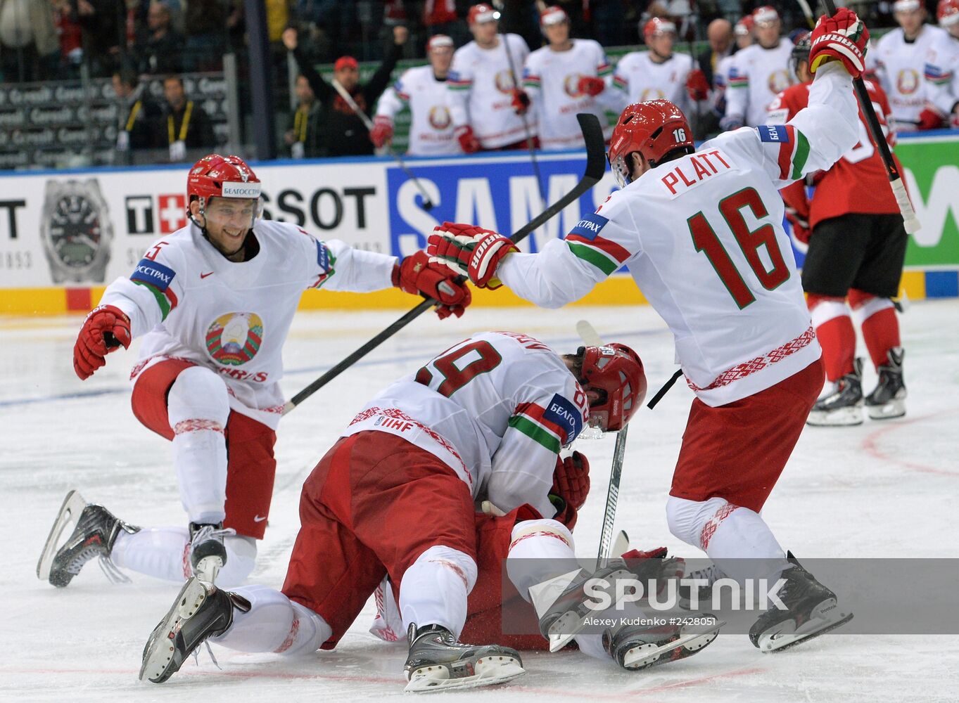 2014 IIHF World Championship. Switzerland vs. Belarus