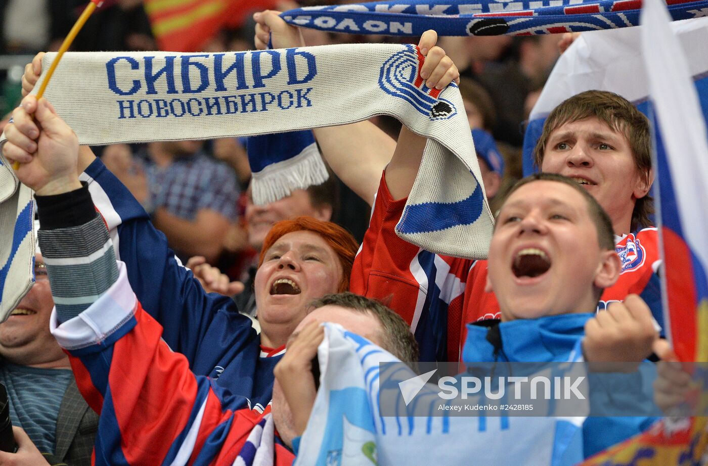 2014 IIHF World Championship. Russia -- USA match