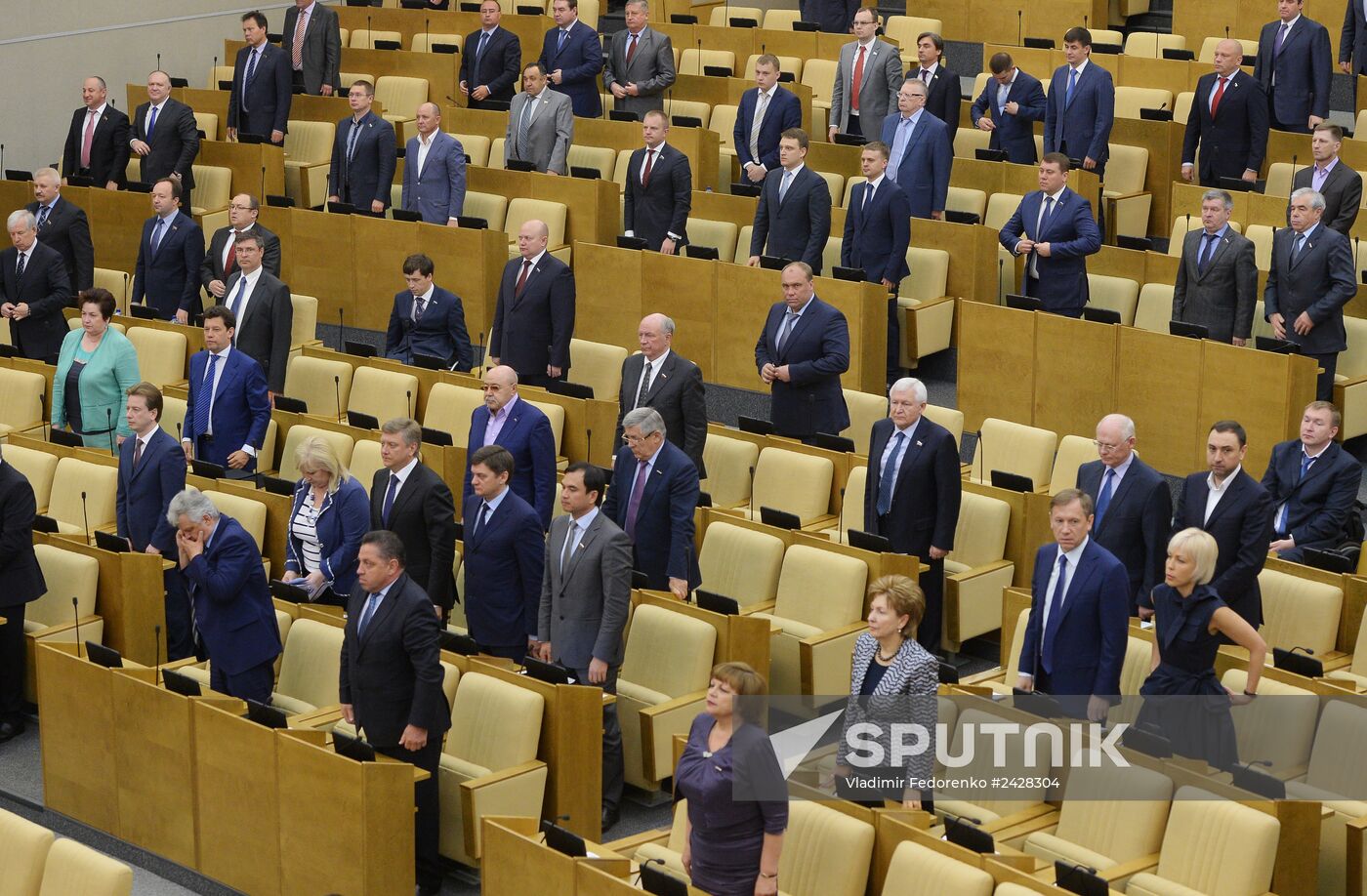 Plenary meeting of the State Duma of the Russian Federation