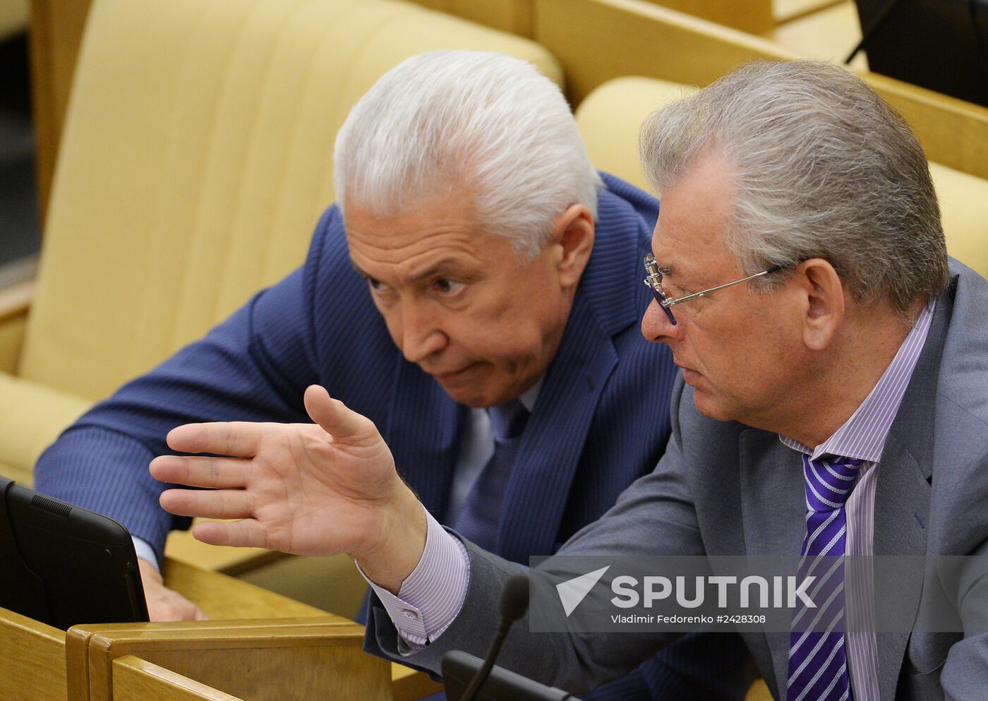 Plenary meeting of the State Duma of the Russian Federation