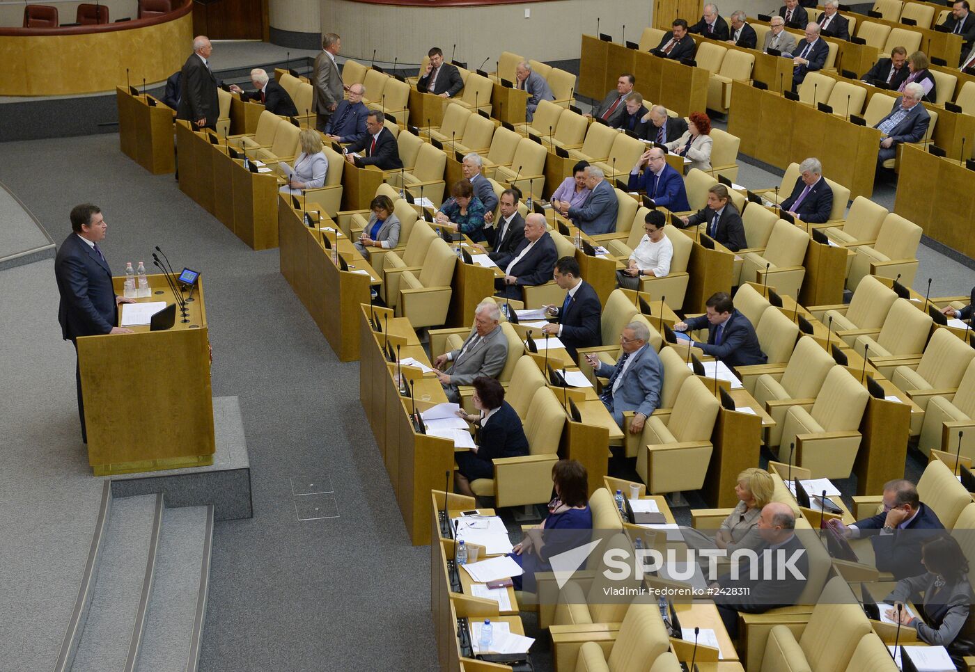 Plenary meeting of the State Duma of the Russian Federation