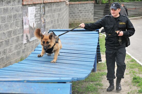 War dogs breeding school championship in Rostov-on-Don