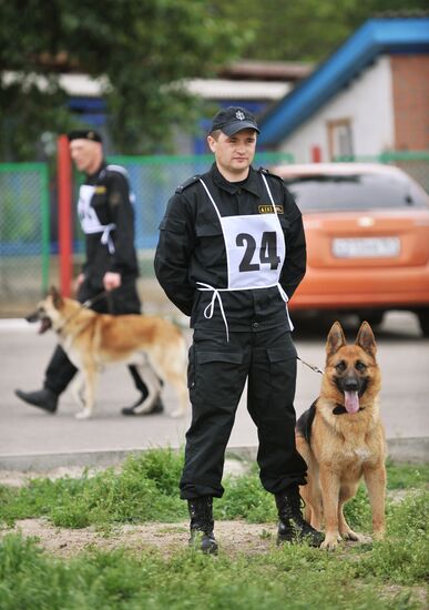 War dogs breeding school championship in Rostov-on-Don