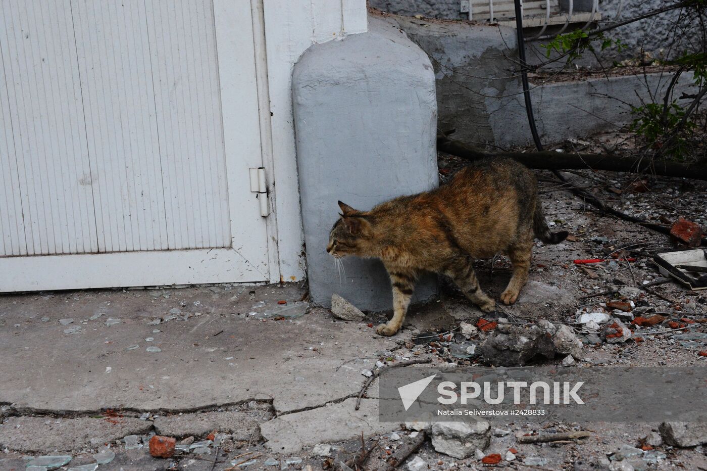 Mariupol update