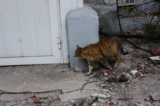 Mariupol update