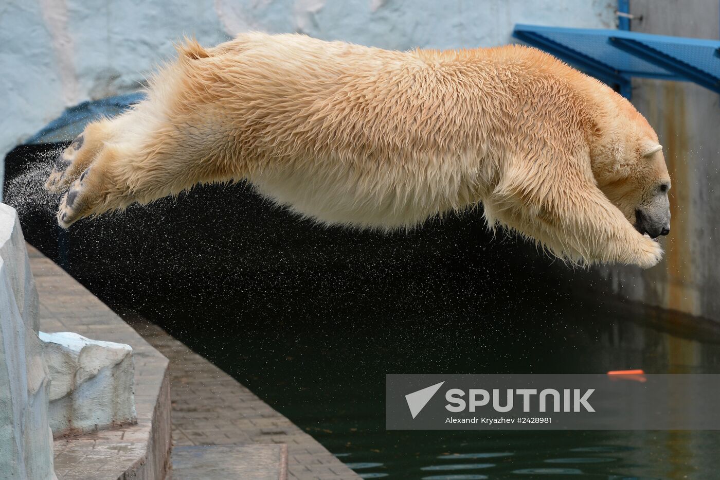 The Novosibirsk Zoo