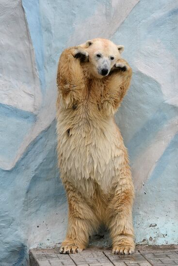 The Novosibirsk Zoo