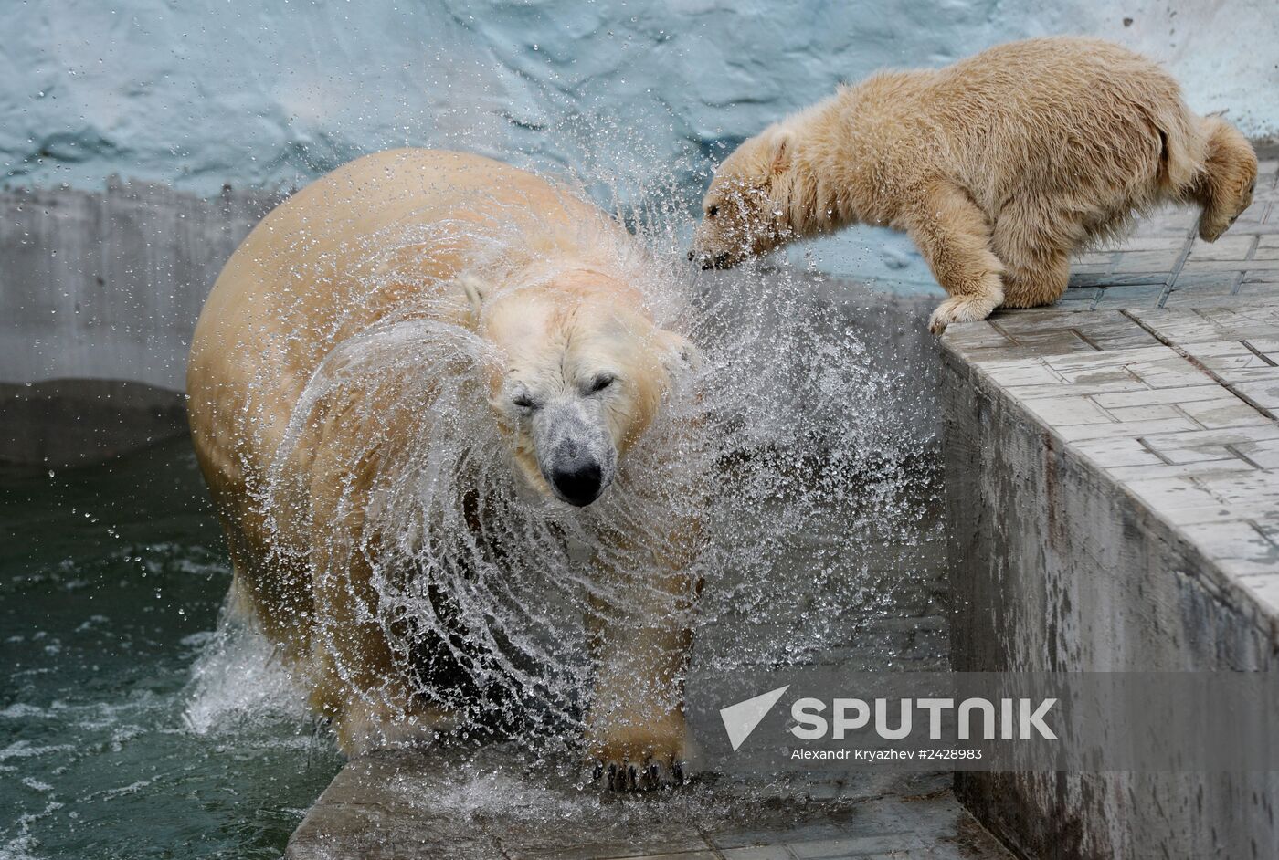 The Novosibirsk Zoo